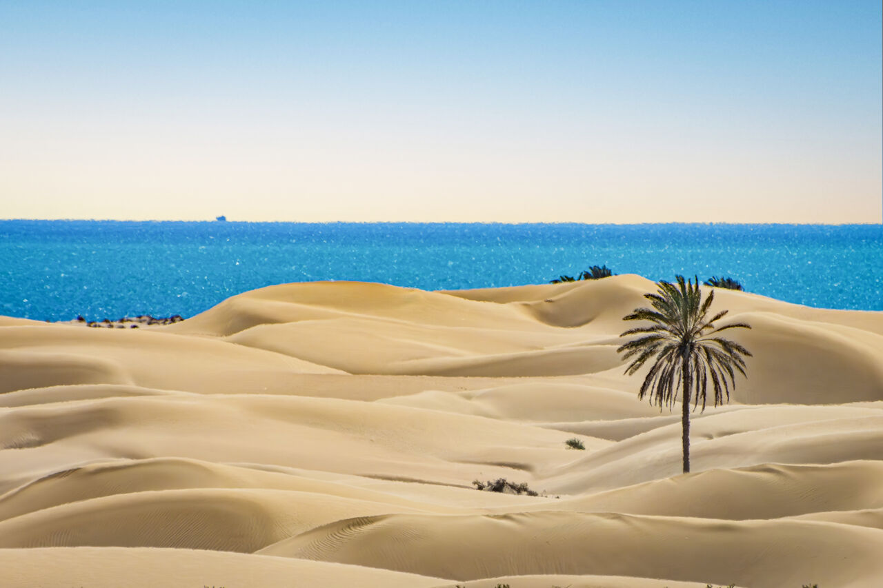 سواحل مَکُران؛ گنج پنهان گردشگری و توسعه پایدار در جنوب شرق ایران